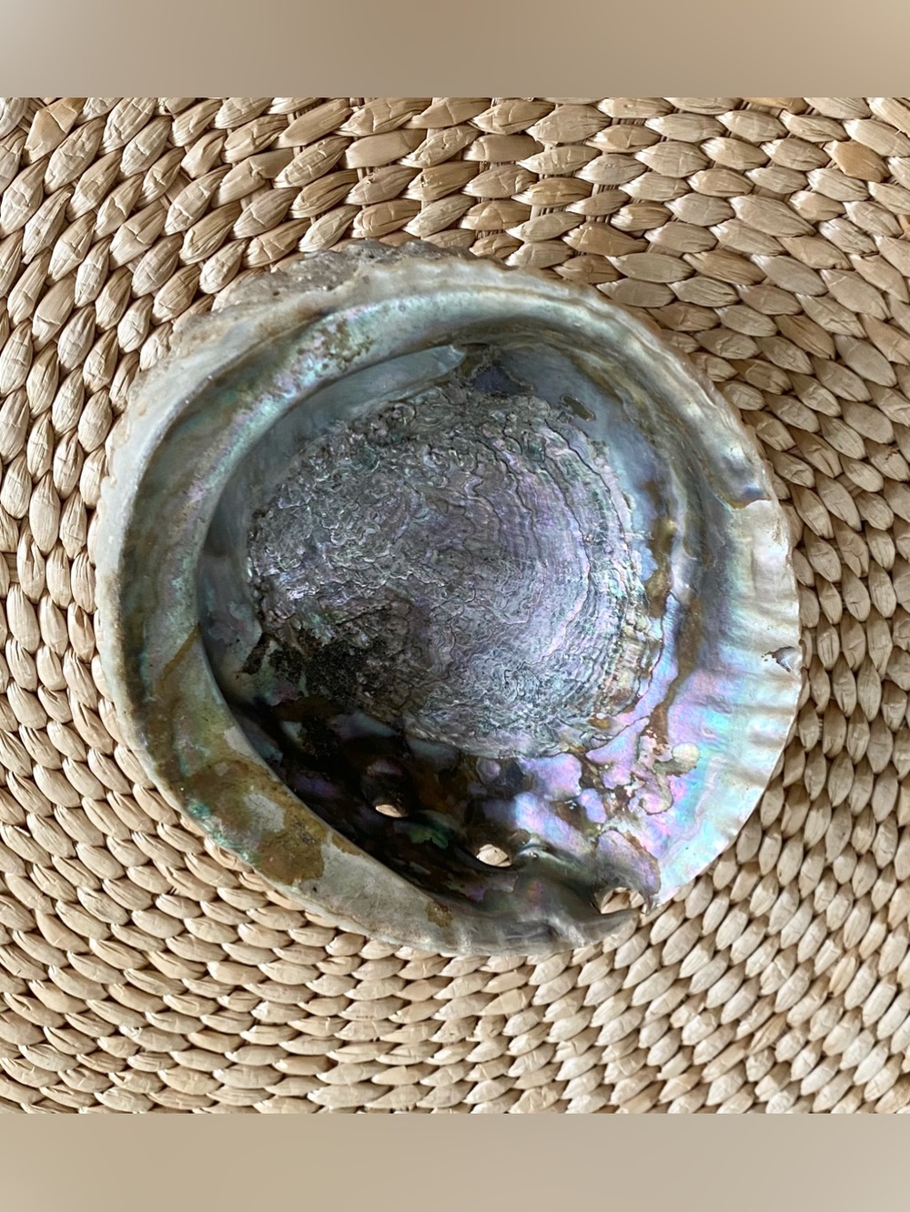 VTG Natural Abalone Shell - Iridescent Smudge Bowl Jewelry Dish Large 6”